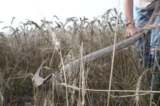 Photo Ann-Félixe Gagné