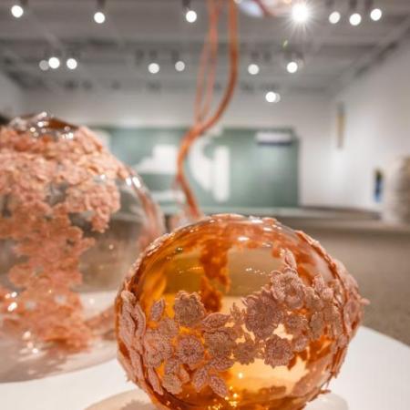 Rapport annuel 2023-2024