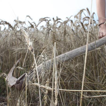 Photo Ann-Félixe Gagné